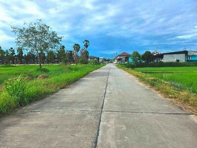 ขายที่ดินสวยหนองหงส์พานทองชลบุรี  10 ไร่