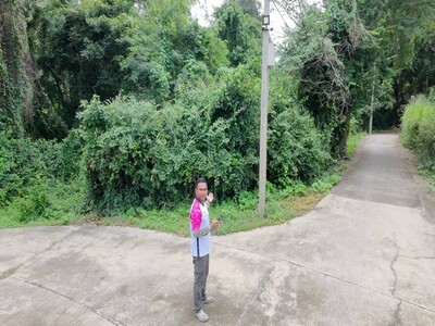 ขายที่ิดินสระบุรี ขายที่ดินติดบึงป่าสักเสาไห้ 1ไร่48ตรวเกริก09344
