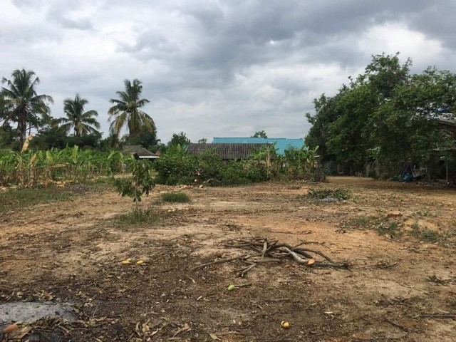 ขายที่ดิน วิวดอยสุเทพ  สำราญราษฎร์ ดอยสะเก็ด       