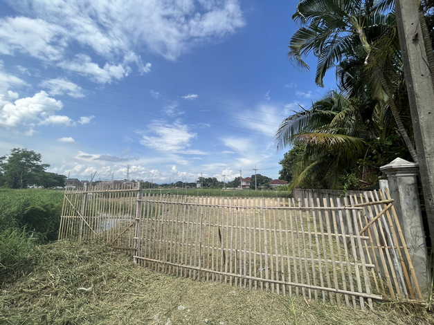 ขายด่วนที่ดินใกล้เซ็นทรัลเฟสติวัล เหมาะแก่การสร้างบ้าน ร้านอาหาร คาเฟ่  อ.สันทราย จ.เชียงใหม่