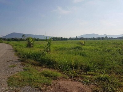 เช่า/ซื้อยังไงก็คุ้ม ขายที่ดินปากช่อง2-8ไร่ โฉนด ต.วังไทร ไร่ละ 2