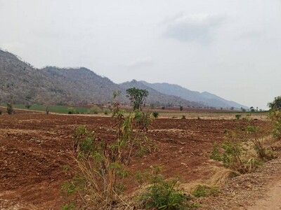 เช่าหรือซื้อยังไงก็คุ้ม ขาย/เช่า ที่ติดภูเขา อ.เมือง จ.นครสวรรค์ 