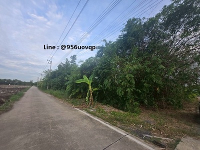 sss503 ขายที่ดิน คลอง 3 คลองหลวง ใกล้วัดธรรมกาย
