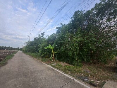 sss502 ขายที่ดิน คลอง 3 คลองหลวง ใกล้วัดธรรมกาย