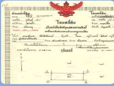 ขายที่ดินแปลงสวยติดถนน 2 ฝั่ง คลอง11 อำเภอหนองเสือ จังหวัดปทุมธาน