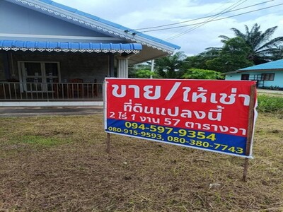 ขายบ้านพร้อมที่ดิน อำเภอเมือง จังหวัดชุมพร  2 ไร่ 1 งาน 57 ตารางว