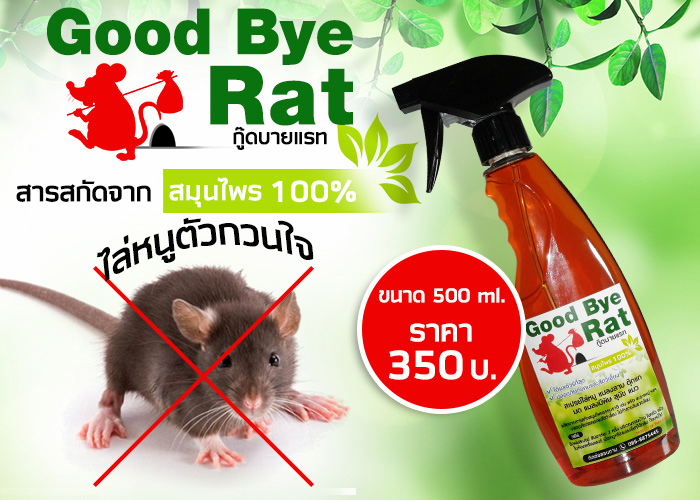 สเปรย์ไล่หนู Good Bye Rat วิธีกำจัดหนู ด้วยสมุนไพร ไล่หนูได้ผลจริง กำจัดหนูเห็นผลชัวร์