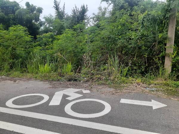 ขายที่ดินเปล่าติดถนนใกล้หาดบ่อเมา ตำบล ชุมโค อำเภอปะทิว ชุมพร 