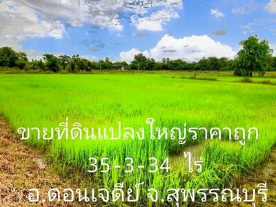 ขายถูกที่ดินดอนเจดีย์ 25-3-24 ไร่ ทำเลดี