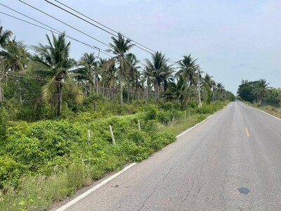 ขายที่ดินหนองเสือปทุมธานี เนื้อที่ 147-0-20  ไร่  