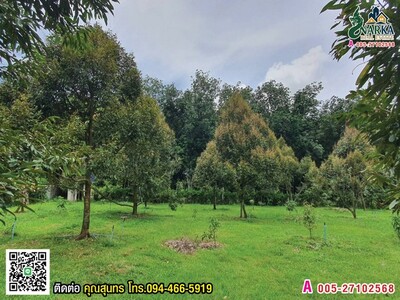 ขายที่ดิน 8 ไร่ ดอนเค็จ กาญจนดิษฐ์ สุราษฎร์ธานี