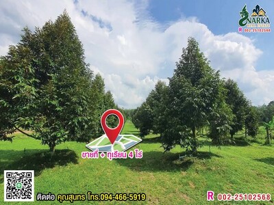 ขายสวนทุเรียน 4 ไร่ ต.ช้างซ้าย อ.กาญจนดิษฐ์​  จ.สุราษฎร์ธานี