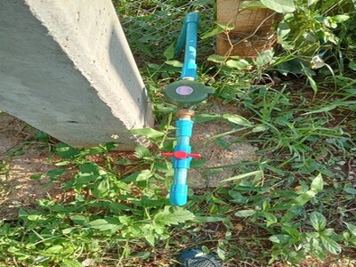 ขายที่สวนผลไม้ จำนวน 2ไร่ โฉนดครุฑแดง