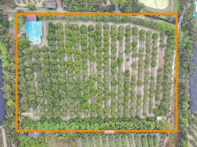 ที่ดิน พร้อมสิ่งปลูกสร้าง 9-3-60 ไร่ สามพราน นครปฐม 