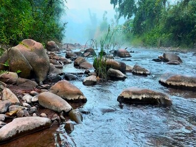 ขายที่ดินติดน้ำมาง บ่อเกลือ 