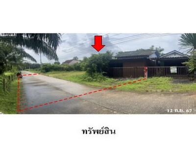 ขายบ้านเดี่ยว ถนน นาออก-คลองขนาน เหนือคลอง จ.กระบี่