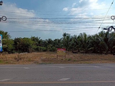ขายที่ดิน 200 วา  ทำเลดี ติดถนน  นางตะเคียน  เมืองสมุทรสงคราม 