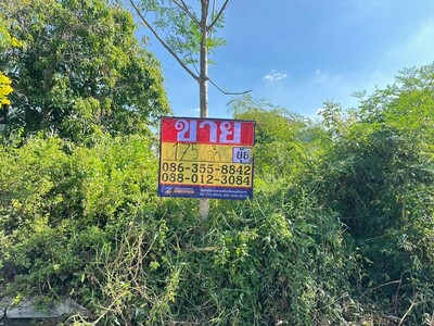 ขายที่ดิน 175 ตารางวา  ซอยสยามพัฒนา 17  บางหัวเสือ 