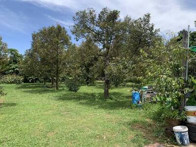 ขายที่ดิน บ้าน พร้อมเข้าอยู่ ขนาด 3ไร่3งาน10ตรว. หน้ากว้าง164