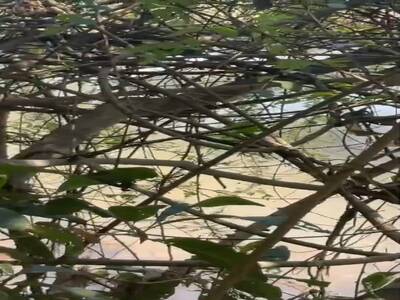 ที่ดินแปลงใหญ่ ติดถนนหลวง 118 เชียงใหม่–เชียงราย (แม่ขะจาน)