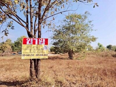 ขายที่ดินติดถนน 1-0-03 ไร่  ซอยวัดป่าเทพวังทอง โพนพิสัย  หนองคาย 