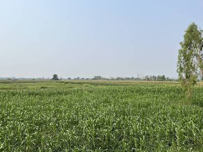 ที่ดินผืนใหญ่ 675 ไร่ ติดถนนใหญ่ อ.เชียงคำ จ.พะเยา 