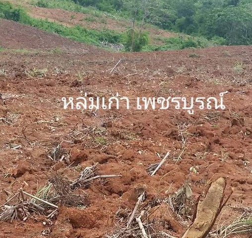 ซื้อทรัพย์โปรพิเศษผ่อนโดยตรงกับเจ้าของได้  ขาย ธรรมชาติเนินเขา ที่ดินโฉนดแบ่งขาย สวยๆ ท่ามกลางธรรมชาติหล่มเก่า ดินดีทำเกษตรงาม  ที่ดินดีสมบูรณ์ หล่มเก่า เพชรบูรณ์ ใกล้ภูทับเบิก โทร 0968821857