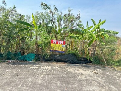 ขายที่ดิน  200 ตารางวา  หมู่บ้านพฤกษาแลนด์ บ้านบึง   ชลบุรี