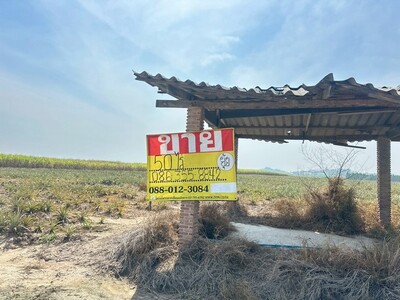 ขายที่ดิน 50 ไร่  ซอยโรงเรียนบ้านตาลดำ หนองอิรุณ  บ้านบึง  ชลบุรี