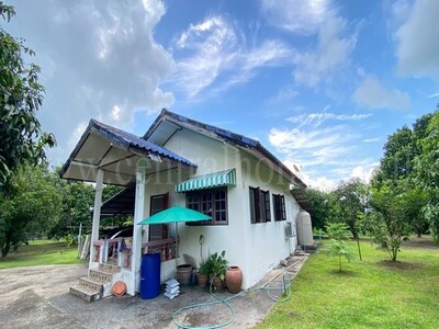 ลดราคา ที่ดิน พร้อมบ้านเดี่ยว ชั้นเดียว 2-3-97 ไร่ นครนายก