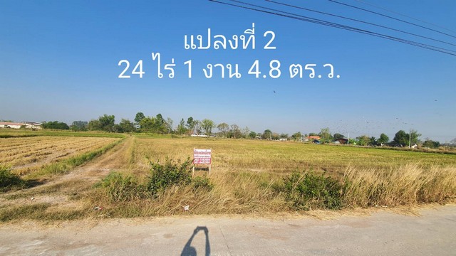 ขายด่วนที่ดิน  24 ไร่ 1 งาน 4.8 ตารางวา ตำบลหนองหงส์ อำเภอพานทอง จังหวัดชลบุรี