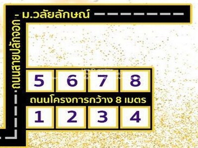 ขายที่ดินแบ่งแปลง 113.5 ตร.ว. ใกล้ ม.วลัยลักษณ์ ท่าศาลา จ.นครศรีฯ