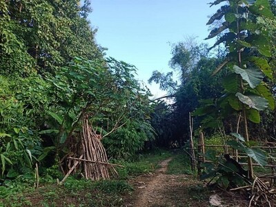 ที่วิวสวยมีไว้ไม่ผิดหวัง ที่ดินติดลำธาร น้ำมวบ ใสไหลฉ่ำตลอดปี จ.น