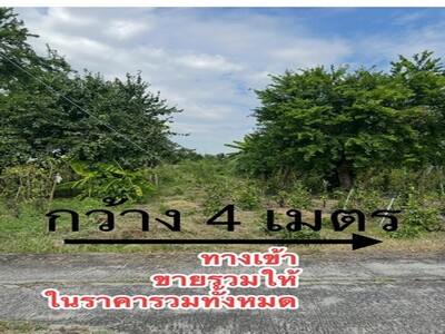 ขายที่ดินอำเภอบ้านหมอ ขายที่ดินสระบุรี ขายที่ดินตำบลหนองบัว ขาย2ไ