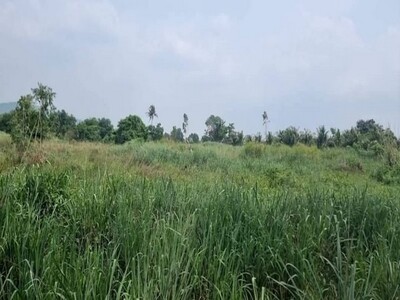 ขายที่ดินหุบบอน หนองขาม ศรีราชา ชลบุรี 
