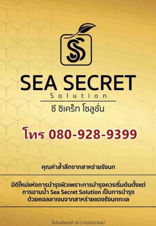 Sea Secret Solution Collagen (ซี ซีเครท โซลูชั่น คอลลาเจน) ผสาน 2 คุณค่า สาหร่ายรังนก และน้ำผึ้ง 