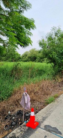 ขายที่ดินคลองหก ซอย 19 ฝั่งตะวันตก น้ำและไฟมีครบ ติดถนนคอนกรีต ขนาด 2 ไร่