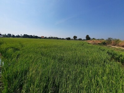 ขายที่ดิน ลพบุรี ต.บางขันหมาก
