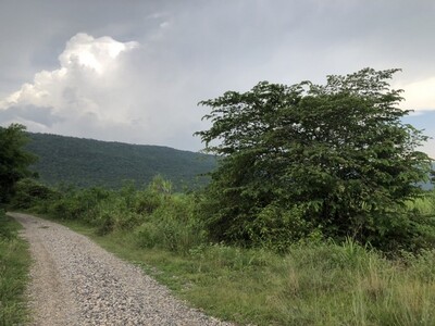 เช่าหรือซื้อยังไงก็คุ้ม ที่สวยติดเขา เทือกเขายา ขอนแก่น