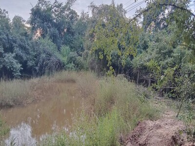 เช่าหรือซื้อยังไงก็คุ้ม  ขายที่แปลงสวยติดติดทางหลวง1107 จ.ตาก  