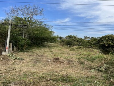 ขายที่ดินสวย ทำเลทอง เขาใหญ่ 50 ไร่ ราคาไร่ละ 1.5 ล้านบาทเท่านั้น