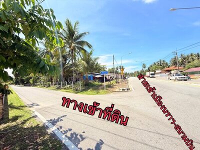 ขาย:ที่ดิน สวย ทำเลทอง โอกาสดี ทำเลทอง 