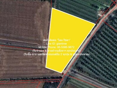 ขายที่ดินทางการเกษตร (ต้นดอกรัก) อ.นครชัยศรี นครปฐม 4-1-67 ไร่