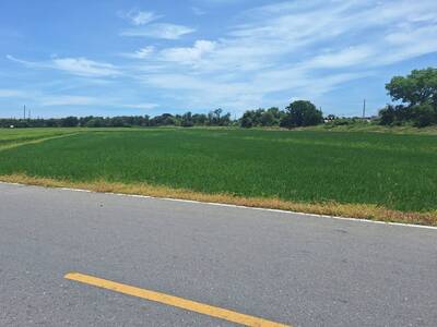 ขายที่ดิน 7-3-55 ไร่  ใกล้ ม.ธรรมศาสตร์ ศูนย์รังสิต