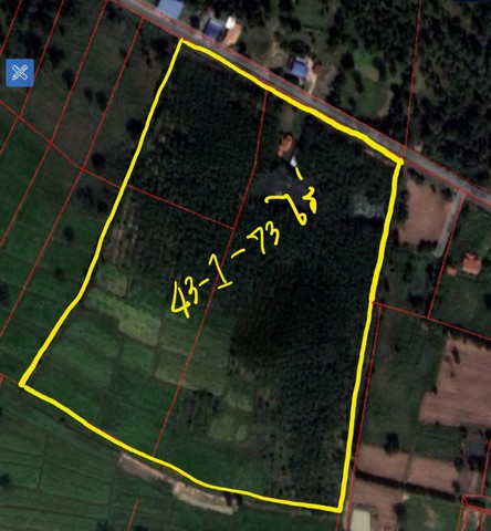 ขาย ที่ดิน พร้อมบ้านพัก เนื้อที่ 43-1-73 ไร่ ใกล้เทศบาลตำบล หลักเขต อ.เมืองบุรีรัมย์ จ.บุรีรัมย์