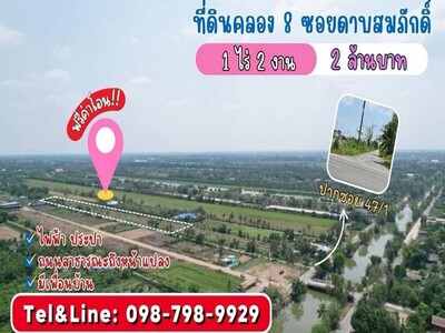 ที่ดินคลอง 8 บึงบอน 47/1 (ซอยดาบสมภักดิ์) รังสิต ปทุมธานี