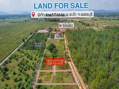 ขายที่ดิน 1 ไร่ พิกัดตำบลไร่ใหม่พัฒนา อำเภอชะอำ เพชรบุรี โฉนดครุฑ