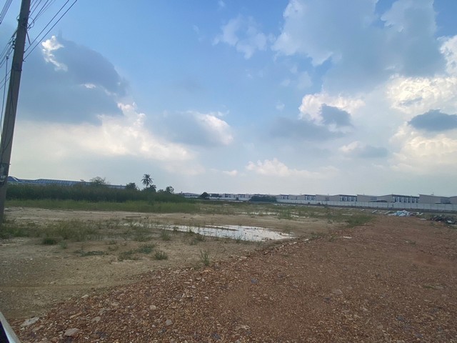 ขายที่ดินเปล่า 48 ไร่ พุทธมณฑลสาย 5  สามพราน  นครปฐม