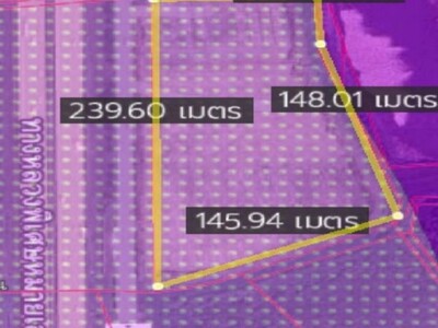 ขายและให้เช่าที่ดินผังม่วงบ่านเก่าพานทองชลบุรี  21-5-93 ไร่