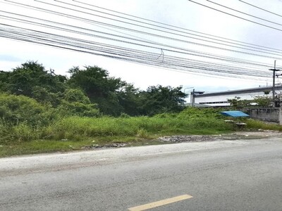 ขายและให้เช่าที่ดินผังม่วงบ่านเก่าพานทองชลบุรี 9-2-47 ไร่